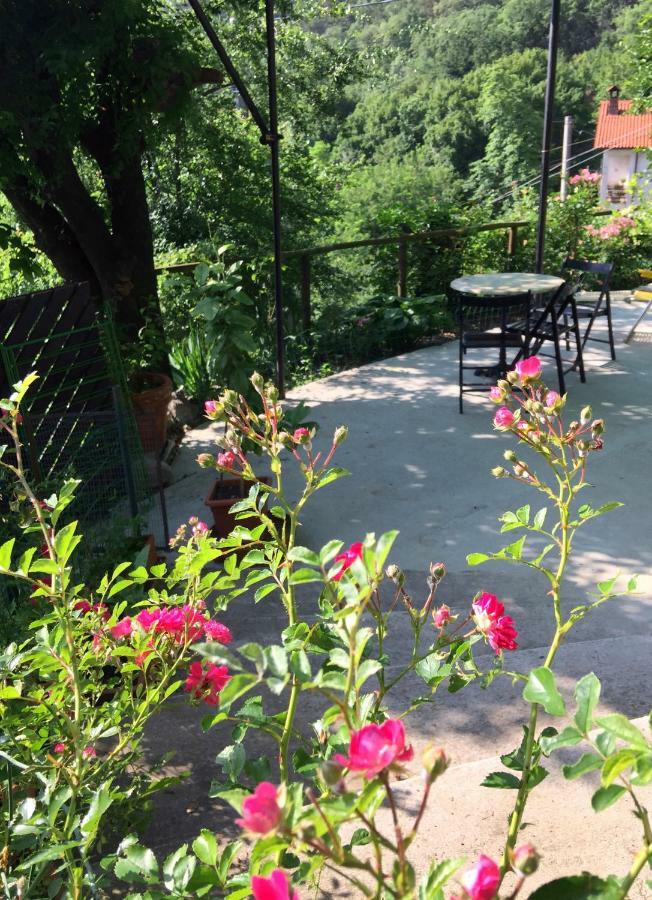 Bed and Breakfast Su Da Noi San Dorligo della Valle Exterior foto